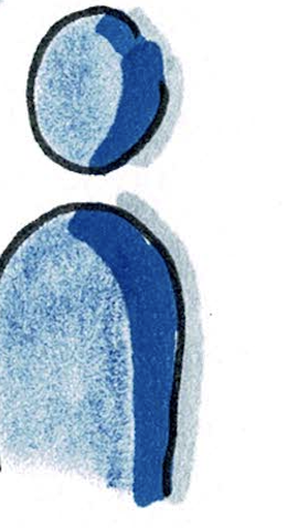 Charakter aus dem Buch